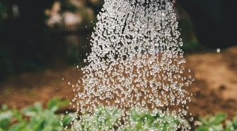 Podczas upałów mądrze korzystajmy z wody