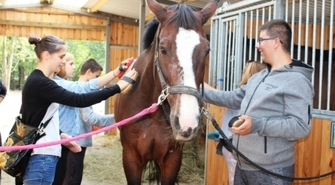 Podopieczni OSW na zajęciach hipoterapii