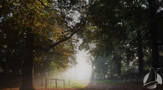 Zamknięcie części parku miejskiego