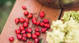 Spróbuj czegoś nowego 