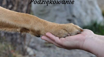 Podziękowanie