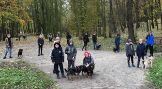 Wolontariat w schronisku