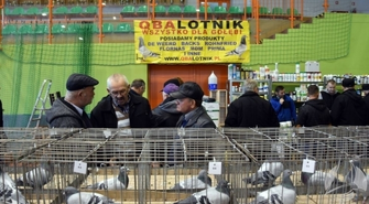 45. Okręgowa Wystawy Gołębi Pocztowych 