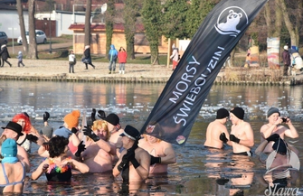 Morsy zdominowały sławską plażę