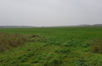 Informacja o ogłoszeniu przetargu ustnego nieograniczonego na dzierżawę części nieruchomości Skarbu Państwa położonej w obrębie Kowalewo