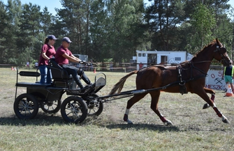 Konne zaprzęgi w Śmieszkowie