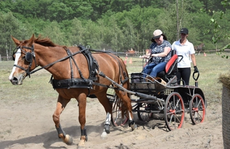 Konne zaprzęgi w Śmieszkowie