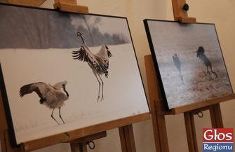 Jak smakuje dziedzictwo - FILM