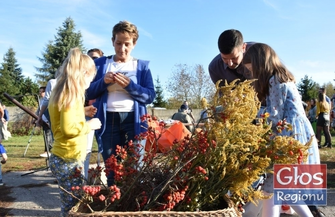 Dyniowy zawrót głowy