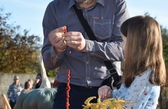 Dyniowy zawrót głowy