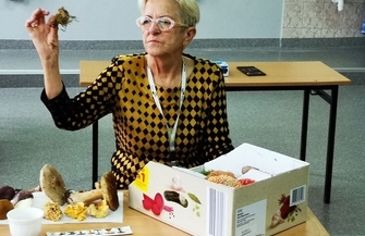 Dzieci idą na grzyby