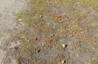 Zamysłów z nowym chodnikiem