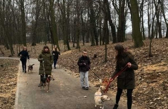 Podaj łapę