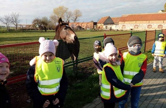 Bezpieczne Żółwie Ninja