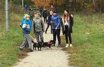 Wolontariat w schronisku