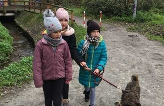 Wolontariat w schronisku