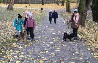 Wolontariat w schronisku