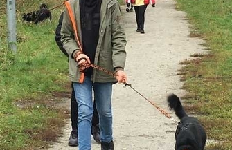 Wolontariat w schronisku