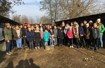 Wolontariat w schronisku