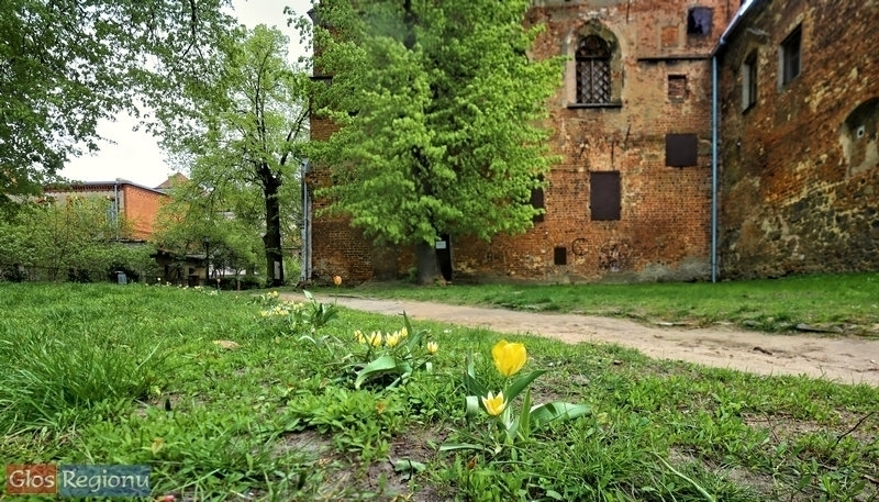 Nadeszła Wiosna