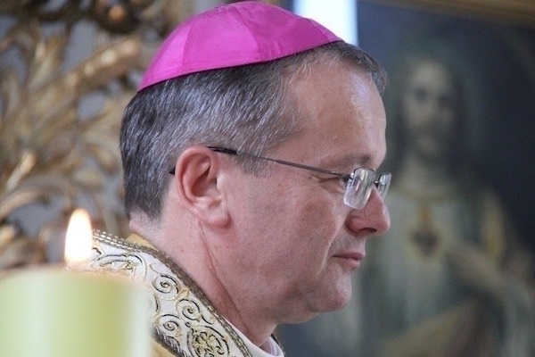 Posługi duszpasterskie w naszej diecezji.