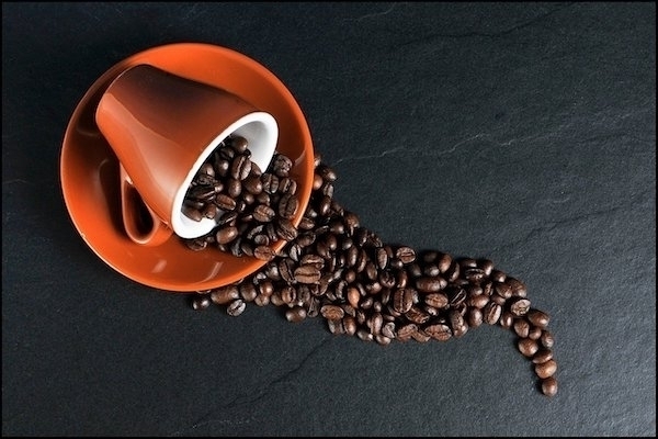 Arabica i robusta