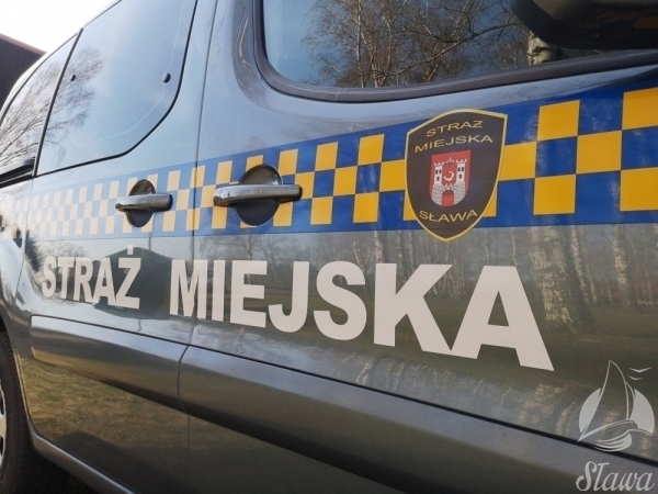 Strażnicy wracają do UM