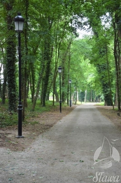 Raport ze sławskiego parku