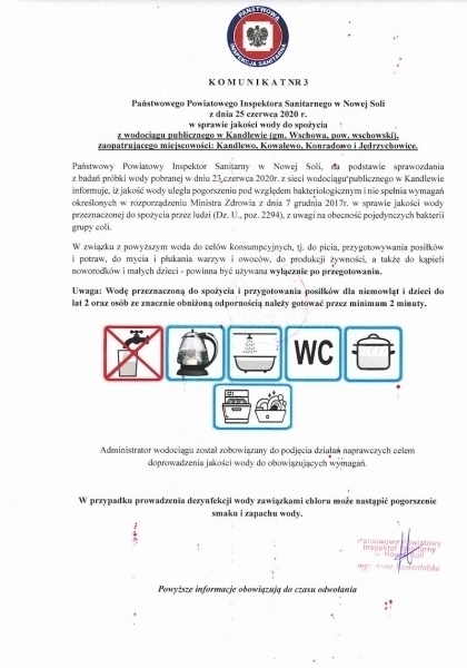 Pojedyncze bakterie z grupy coli