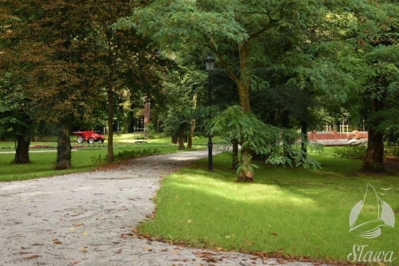 Więcej zieleni w sławskim parku