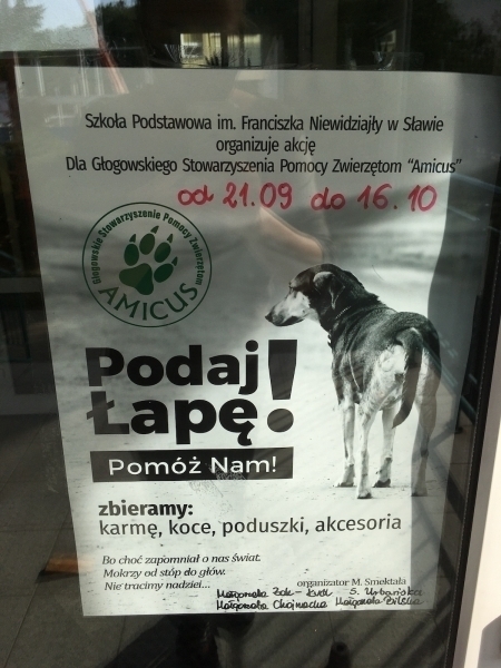 Trzecia edycja zbiórki dla podopiecznych Amicus.
