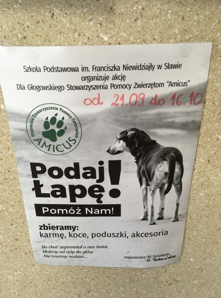 Finał akcji Podaj Łapę Pomóż Nam