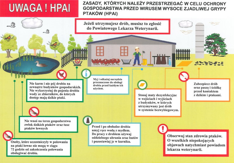 Obszar zagrożony ptasią grypą w powiecie wschowskim