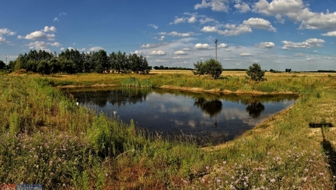 Ile stawów jest we Wschowie? [FOTOREPORTAŻ]