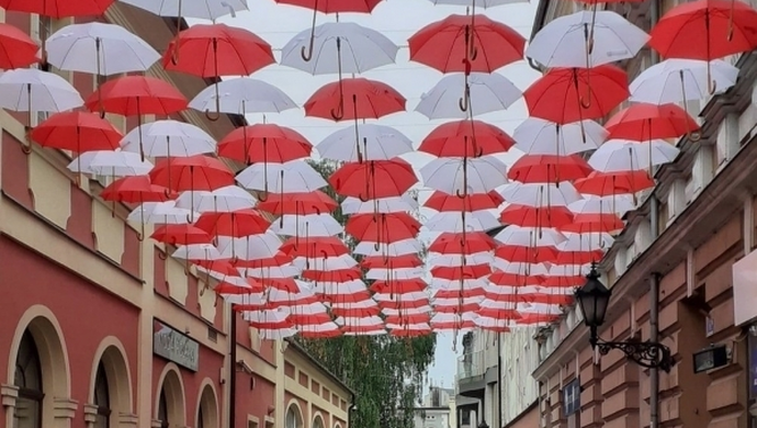 Pojawiły się kolejne parasolki (foto) 