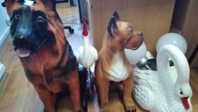 Odpowie za kradzież lamp solarnych i figur ogrodowych