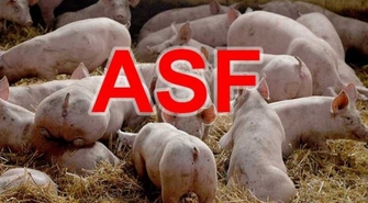 Cała gmina Wijewo w czerwonej