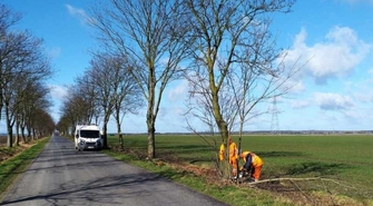 ZDP porządkuje pobocza dróg powiatowych