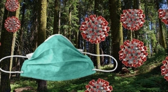 Zakaz wstępu do lasu