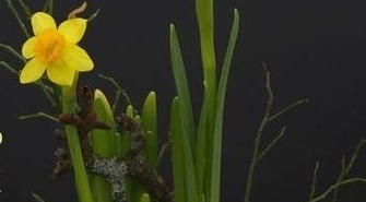 Życzenia Wielkanocne