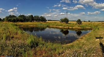Ile stawów jest we Wschowie?