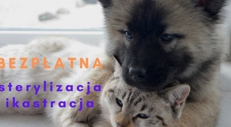 Bezpłatna sterylizacja i kastracja psów i kotów
