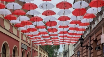 Pojawiły się kolejne parasolki (foto) 