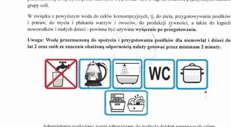 Pojedyncze bakterie z grupy coli