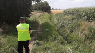 Nieproszony gość w ogrodzie (foto)