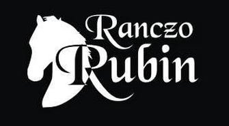 Zawody Krajowe w Powożeniu Zaprzęgami Konnymi.