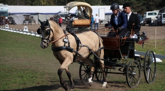 Zawody w powożeniu Nowa Wieś