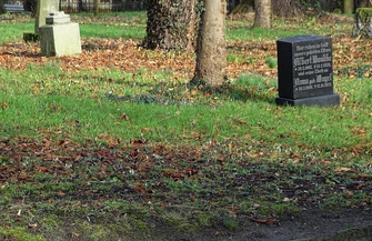 Wiosna w styczniu - zakwitło lapidarium