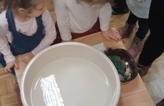 Zajęcia dla dzieci