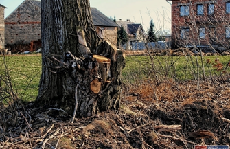 Prace remontowe przy ul. Nowe Ogrody GALERIA